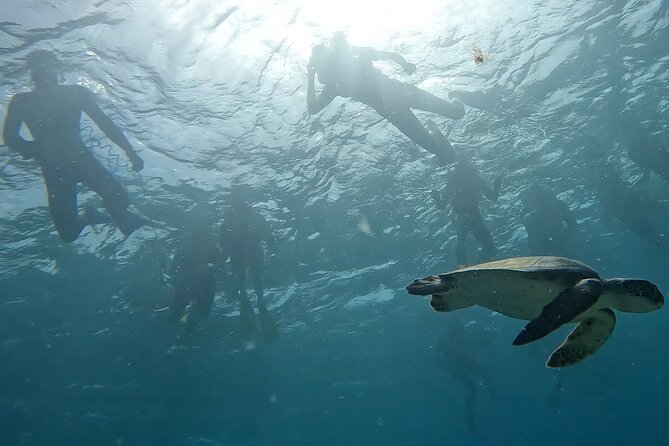 Snorkeling Experience in Santa Maria Bay by boat - Guides and Support: The Human Factor That Makes or Breaks It
