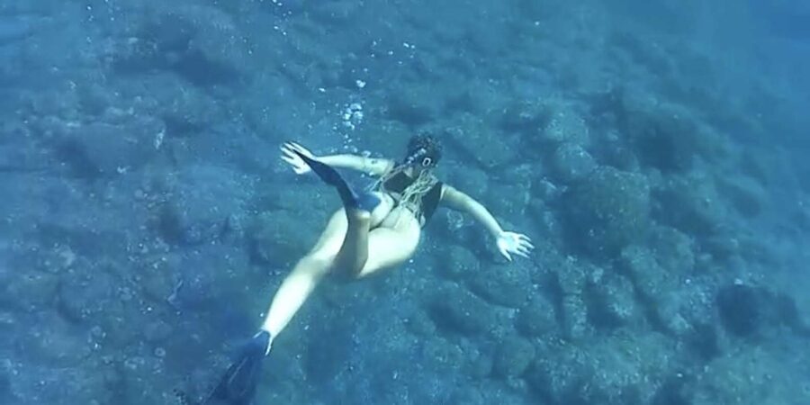 Snorkeling with turtles at Sao Pedro's Beach - What’s Included at $88, and Whether It Feels Like a Fair Deal
