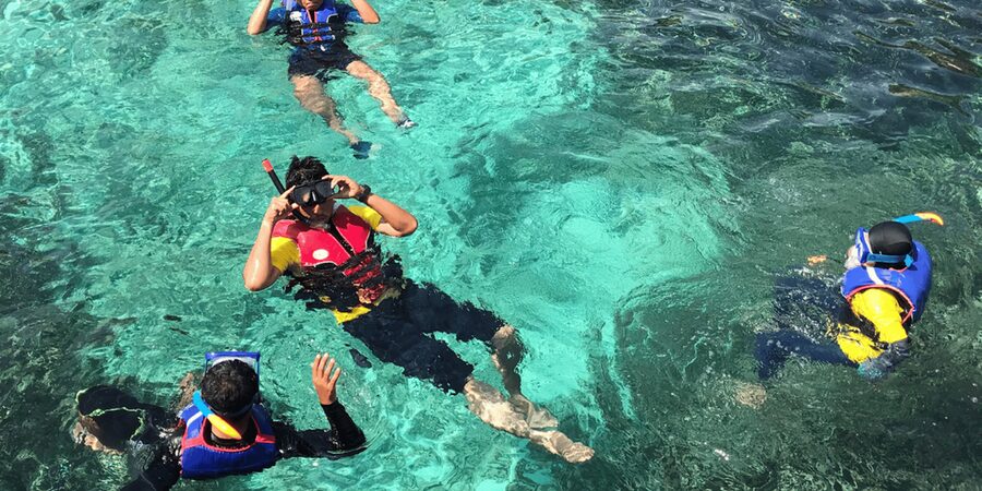 Snorkeling with turtles at Sao Pedro's Beach - Languages, Small Comforts, and Getting Instructions You Can Use