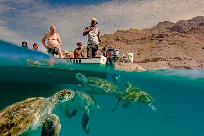 Spectacular experience with sea turtles - Key highlights to plan around