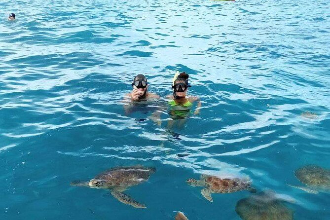 Spectacular experience with sea turtles - Turtle-Friendly Rules That Keep the Moment Magical