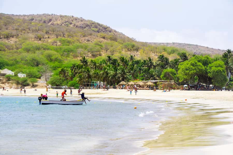 Tarrafal Bay Boat Trip and Beach Day - Marine life time with snorkel gear, plus what to watch for