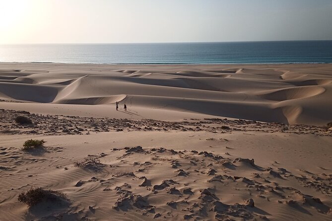 Tours in Boa Vista island - Price and value: what $75.49 gets you (and what it doesn’t)